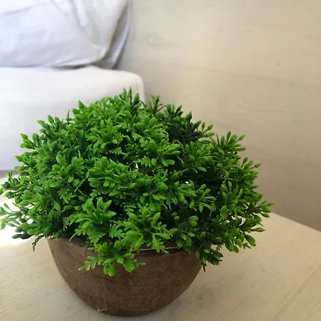 Complex Pika Къща за гости 3*