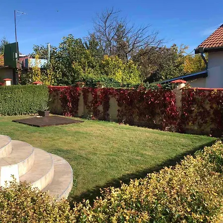 Complex Pika Golden Sands